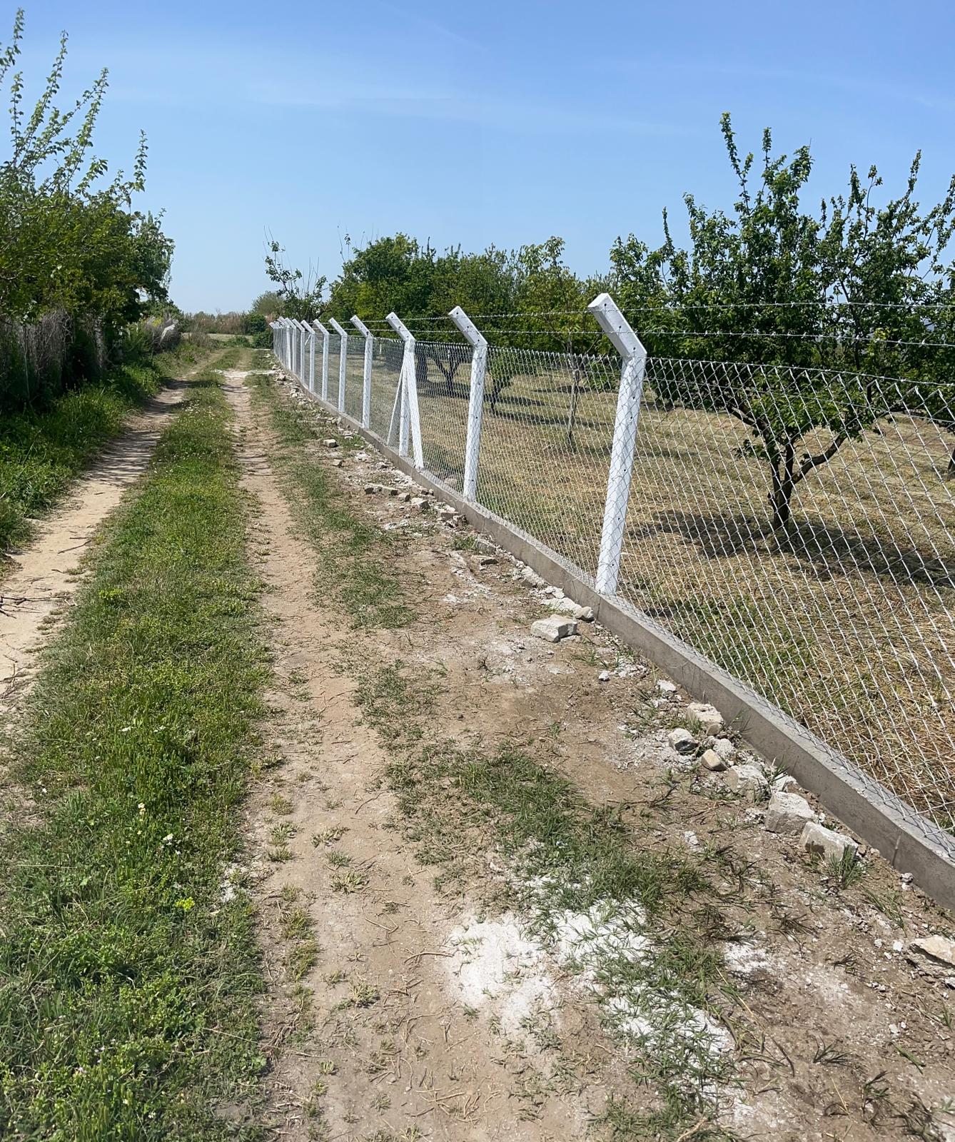 Eğri Boyun Direk Projesi